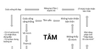 Chẳng có gì ngoài TÂM