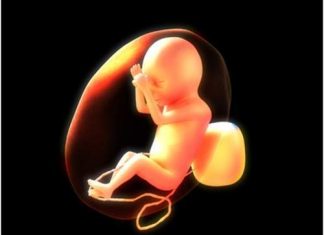 Rau thai và những điều cần biết