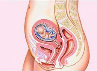 Xét nghiệm sàng lọc trước sinh giai đoạn 1- Double test