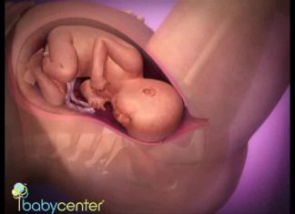 Sự chuyển dạ và cách rặn khi sinh thường