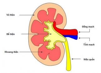 Hội chứng viêm cầu thận cấp ở trẻ