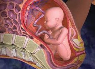 Dây rốn và vấn đề liên quan