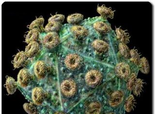 Các phương pháp xét nghiệm HIV
