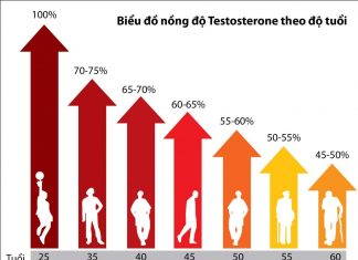Testosterone và khả năng tình dục ở nam giới
