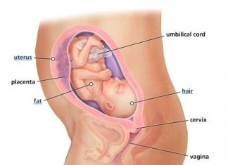 Thai nhi 25 tuần tuổi