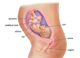 Thai nhi 28 tuần tuổi