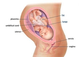 Thai nhi 34 tuần tuổi