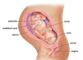 Thai nhi 38 tuần tuổi