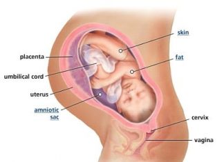 Thai nhi 39 tuần tuổi