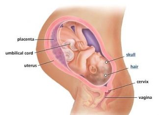 Thai nhi 40 tuần tuổi