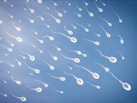 tinh trùng loãng, mào tinh hoàn, túi tinh, tiền liệt tuyến, chế độ dinh dưỡng, sinh hoạt hợp lý, thể lực khỏe mạnh