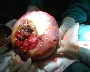 ubigrave1_zpsbcdb9157-min-1