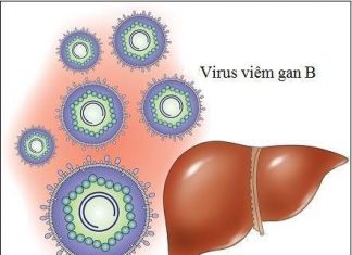 Viêm gan B ảnh hưởng đến chức năng gan như thế nào?