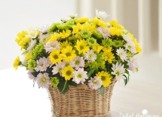 5 loại hoa ý nghĩa nên tặng trong Ngày của Mẹ